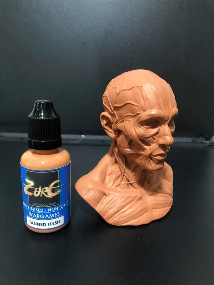Zurc Paints - Tanned Flesh (Water-based) 30ml