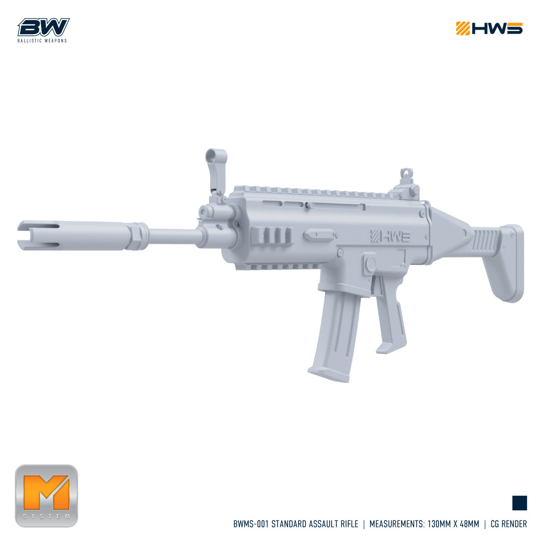 HWS - 1/100 Standard Assault Rifle