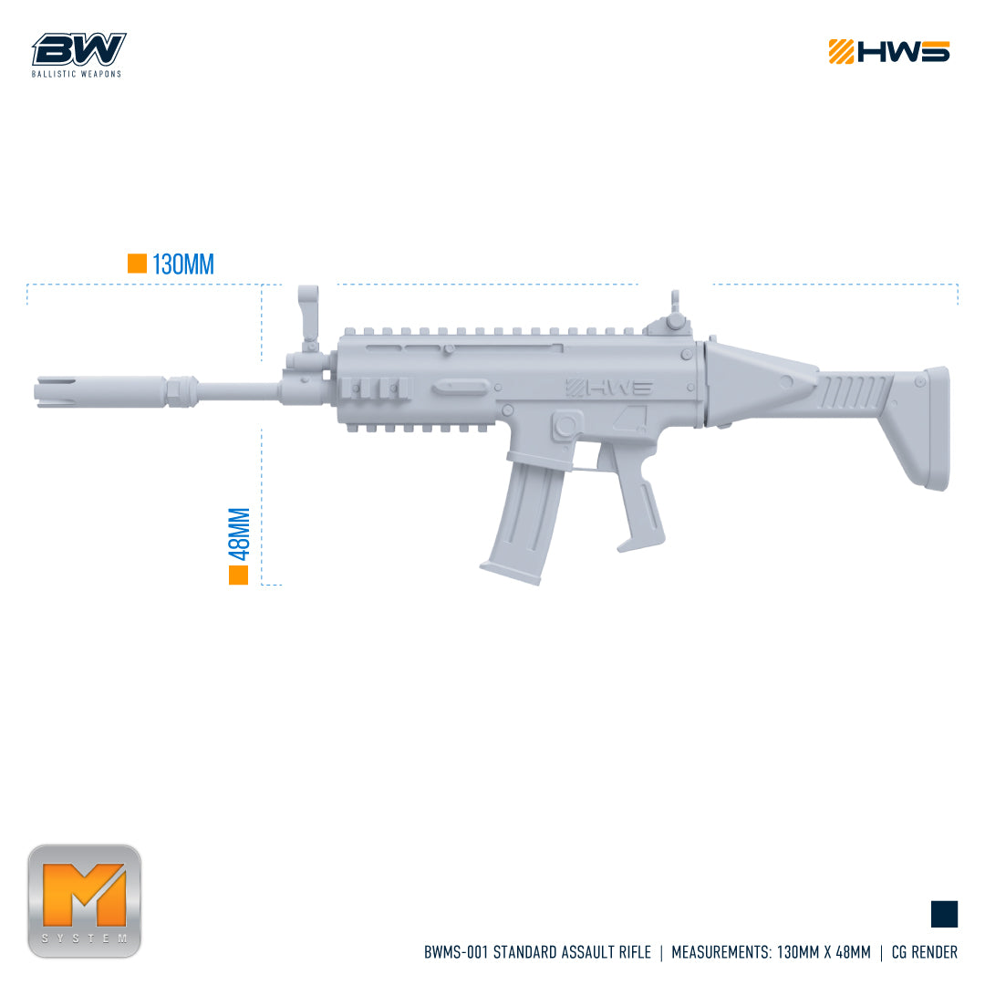 HWS - 1/100 Standard Assault Rifle