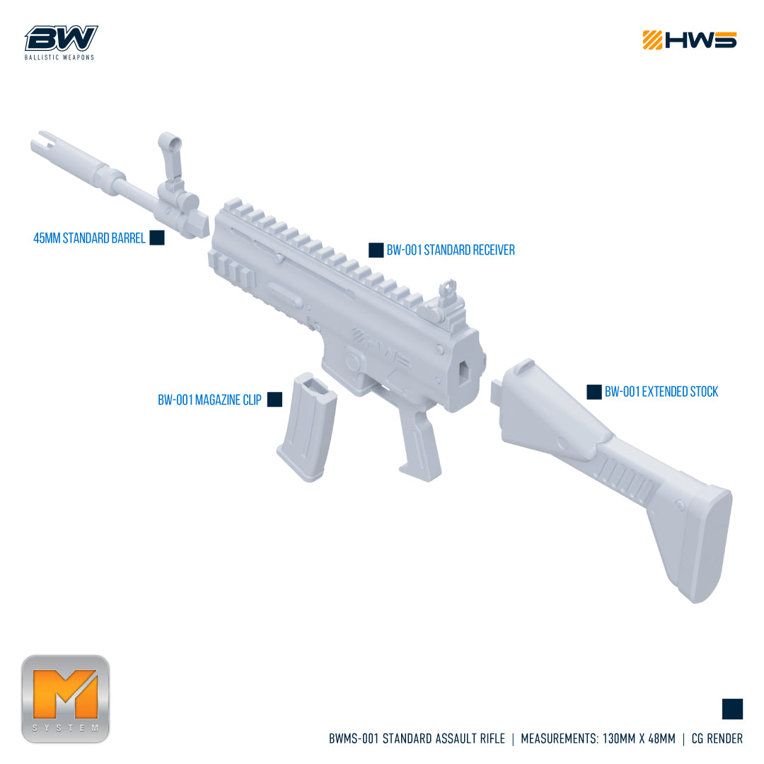 HWS - 1/100 Standard Assault Rifle