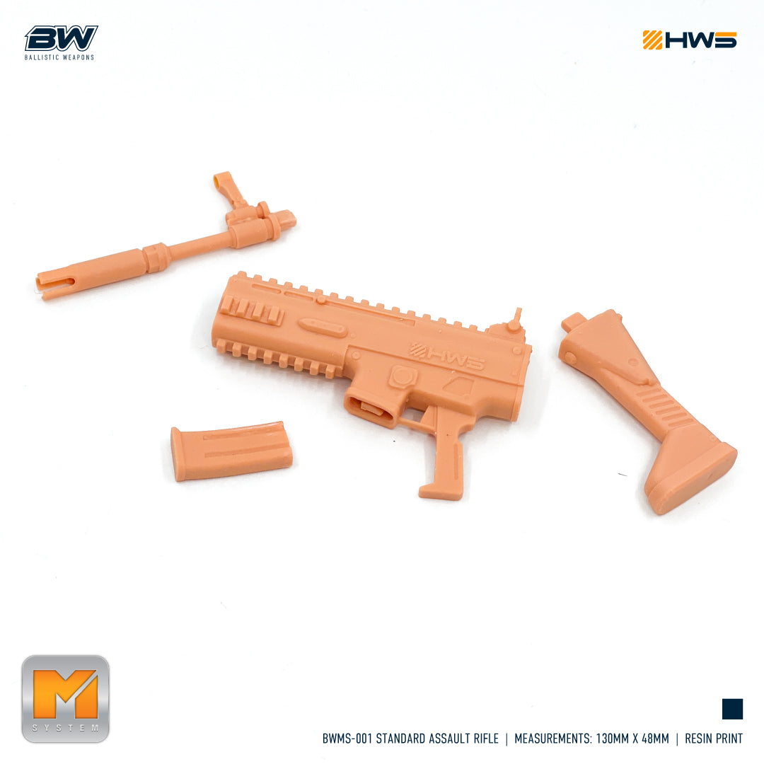 HWS - 1/100 Standard Assault Rifle