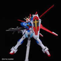 P-BANDAI - HG Freedom Gundam vs Force Impulse Gundam (Battle of Destiny set) Metallic